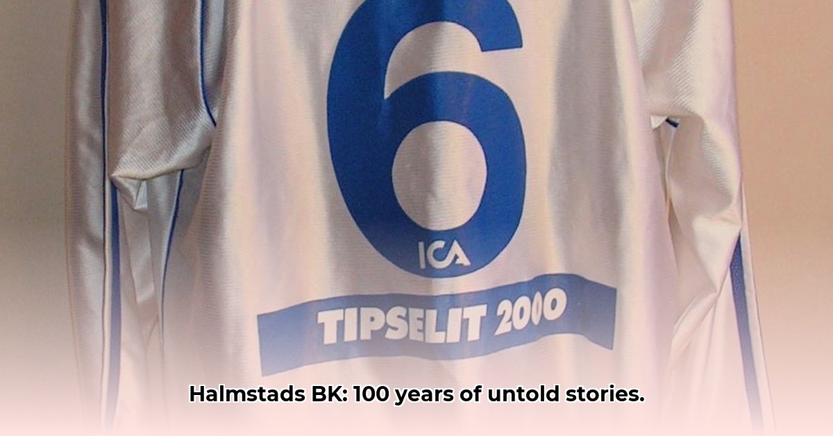 halmstads-bk